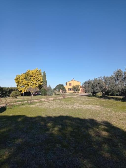 La Casina Di Campagna Tra Cecina E Bibbona Vila Exterior foto