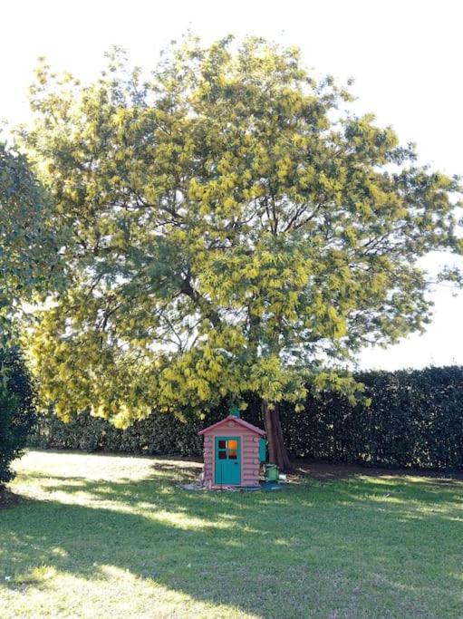 La Casina Di Campagna Tra Cecina E Bibbona Vila Exterior foto