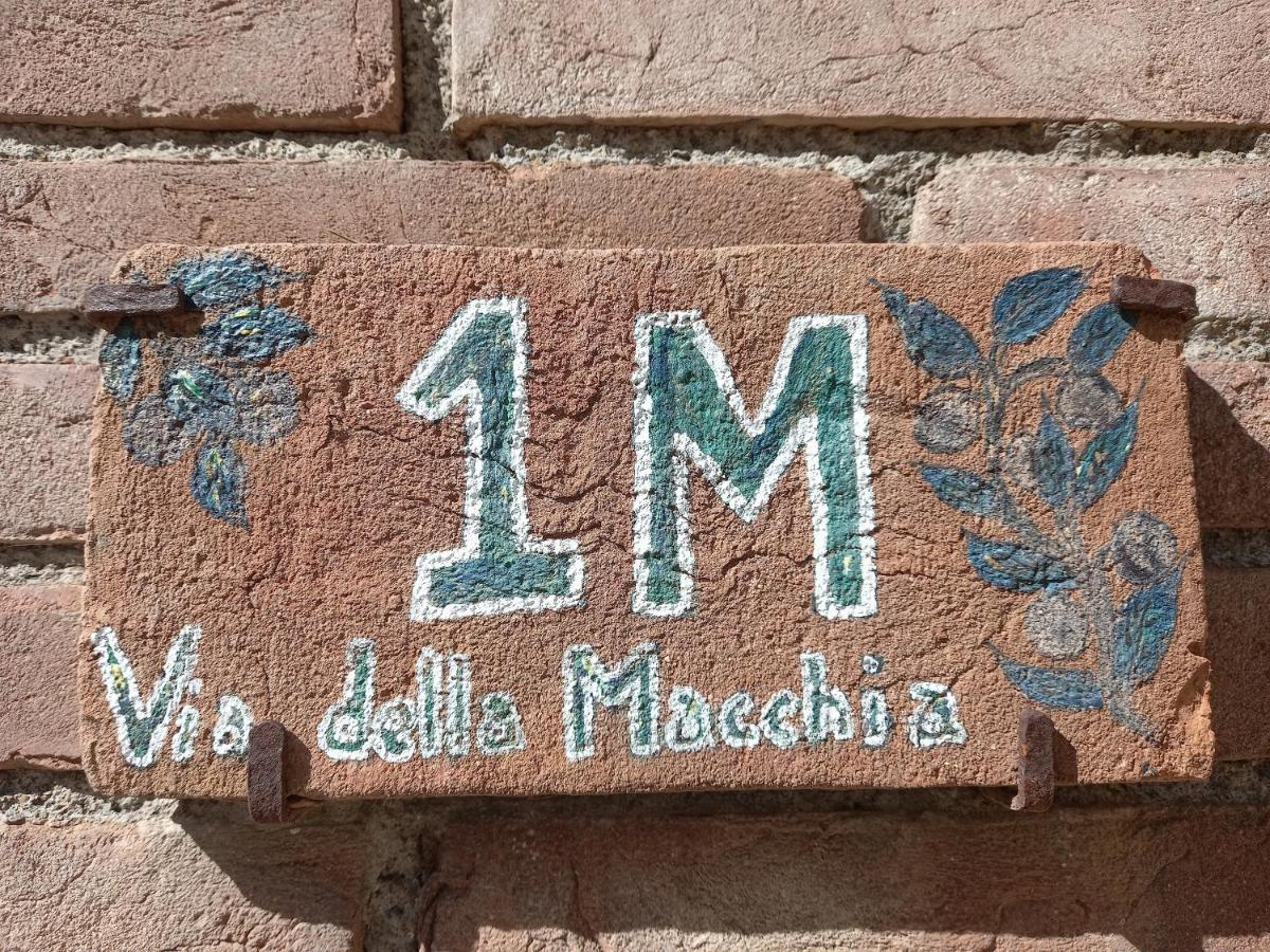 La Casina Di Campagna Tra Cecina E Bibbona Vila Exterior foto
