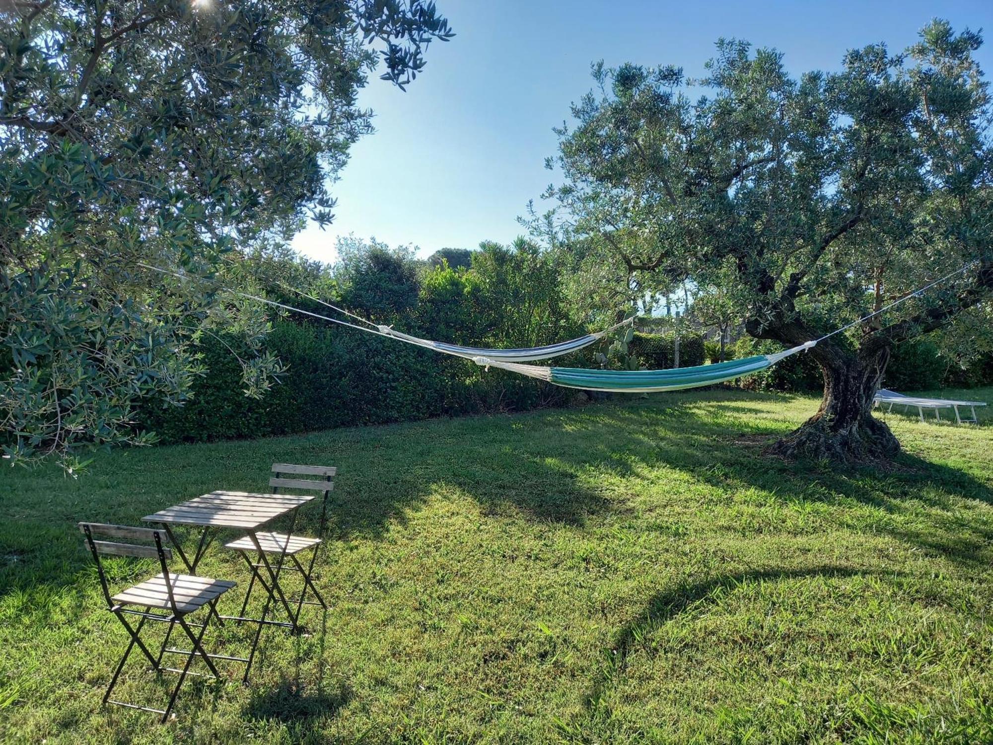 La Casina Di Campagna Tra Cecina E Bibbona Vila Exterior foto