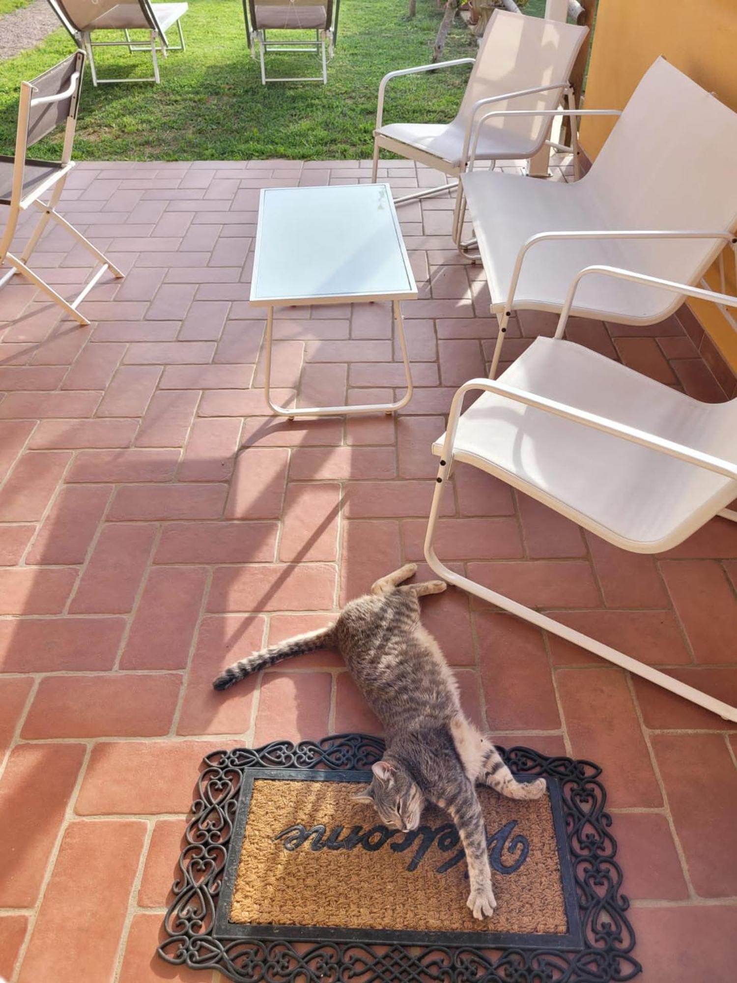 La Casina Di Campagna Tra Cecina E Bibbona Vila Exterior foto